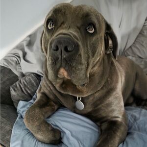 Meet your Posher, Angela